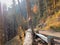 A girl stands on a huge fallen tree on a mountainside in the autumn forest