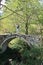 A girl stands on an old antique bridge in the forest, Georgia, village of Mirveti