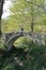 A girl stands on an old antique bridge in the forest, Georgia, village of Mirveti