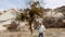 Girl Stands Under Lonely tree at Sandy Mountain Valley