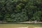 The girl stands in the water in front of the huge Hill covered with trees