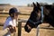 Girl staring at the brown horse in the ranch