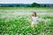 The girl starts soap bubbles in nature. A child plays in a field of daisies