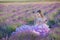 Girl in a straw hat in a field of lavender with a basket of lavender. A girl in a lavender field. Girl with a bouquet of lavender.