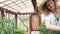 Girl in a straw hat, working gloves and a dress gathers the crop in a greenhouse close up