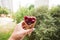 Girl in the street holding a cherry in a waffle cup