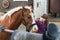 Girl strokes brown horse with braided mane