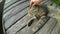 Girl strokes cat lying wooden surface of old wooden planks