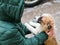 Girl stroking a puppy on the street. winter and pets. Teenager girl hug puppy shepherd dog close up photo