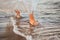 Girl strolling along the seashore