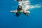 Girl in swimming mask dive in Red sea