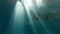 Girl swimming under water against the light in the pool