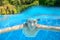 Girl swims in swimming pool, underwater and above view