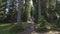 Girl on swing between trees in forest.