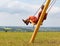 Girl swinging on a high swing. Beautiful view of the landscape