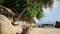 A girl swinging on a rope swing on the beach