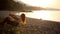 Girl swinging on a wheel with sunset near the