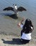 Girl talking to a goose