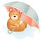 Girl teddy bear under umbrella on a rainy day