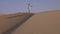 Girl teenager runs around the sand on the slope of the dune in Rub al Khali desert United Arab Emirates stock footage