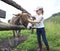 Girl tenderly stroking a donkey.