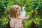 Girl and tomato harvest