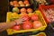 Girl touches a giant tomato in the box at the vegetable market