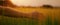 Girl touching ears of high grass in wheat field. Woman enjoying sunset in grasslands.