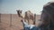 Girl tourist feeding a camel in the UAE desert and takes on camera