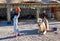 A girl in a tracksuit and orange arafatka takes a selfie against a camel