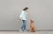 Girl trains a beautiful dog against a gray wall background, holds a pet at a leash, the dog looks at the owner. Woman plays with a