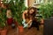 Girl transplanting large plant and cutting old pot