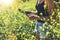 Girl traveler using gadget on yellow flowers background close. Female hands photographer take view sun flare on cell camera