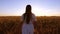 Girl traveling in field. happy girl walks across a field with yellow wheat and touches the ears of wheat with her own