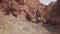 Girl travels along an unusual terrain. red earth and mountains, like on Mars