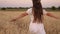 Girl travels in the field. Concept of eco-tourism. Happy girl walks across a field of yellow wheat and touches the ears