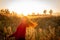 The girl travels in the grass field at sunset