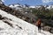 Girl trekking hiking in the Alps, Stubai, Austria