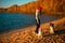 Girl with two border collie dog on beach at seaside. autumn yellow forest on background