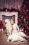 Girl and two Samoyed Laika in the studio