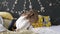 Girl unfolds a Christmas gift against the background of a garland