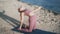 Girl in violet tracksuit practises camel yoga pose on sand