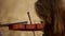 Girl violinist playing the violin in wheat field.