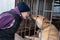 Girl volunteer in the nursery for dogs. Shelter for stray dogs