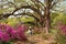 Girl walking alone in the beautiful blooming garden under oak trees.