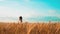 Girl is walking along the wheat field nature slow motion lifestyle video. beautiful girl in white dress running nature