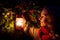 Girl walking in dark forest with old lantern in hand