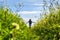 Girl is walking on flowering meadow enjoying peaceful nature