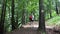 Girl Walking in Forest, Teenager Child Hiking at Camping, Mountains Trails, Adolescent Tourist in Wood Adventure Trip, Excursion