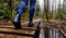 Girl Walking on a Mystical Trail in Rain Forest